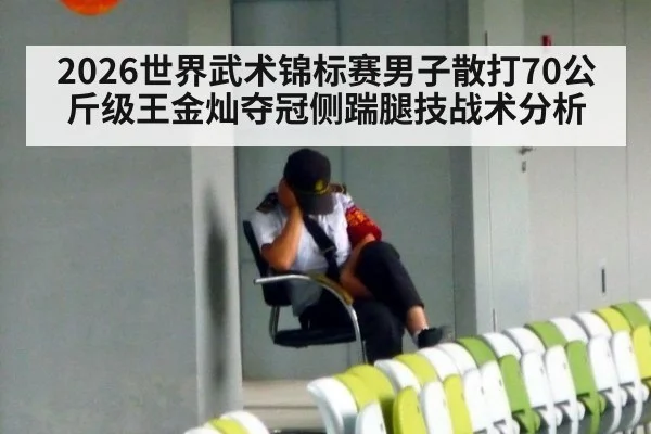 2026世界武术锦标赛男子散打70公斤级王金灿夺冠侧踹腿技战术分析