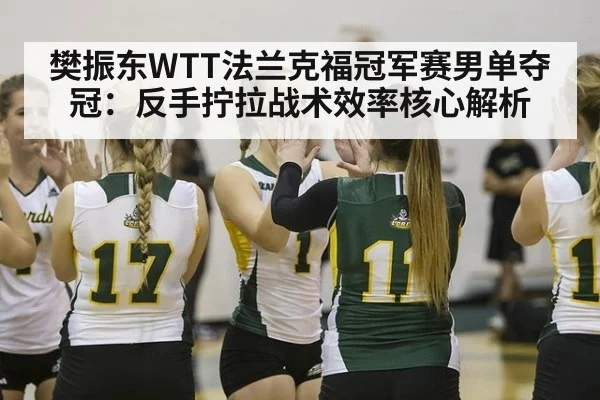 樊振东WTT法兰克福冠军赛男单夺冠：反手拧拉战术效率核心解析